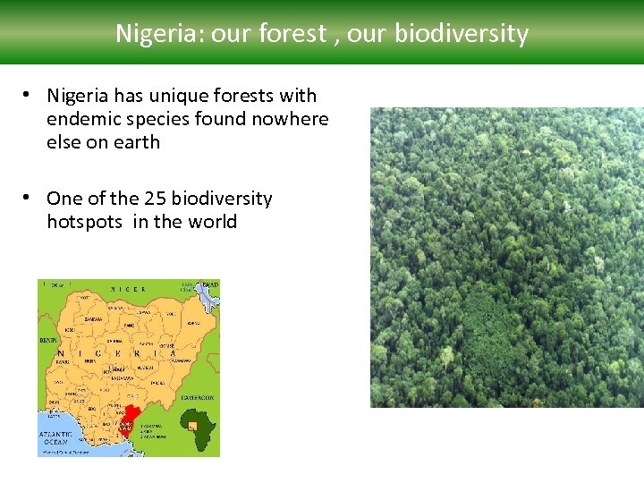 Nigeria: our forest , our biodiversity • Nigeria has unique forests with endemic species