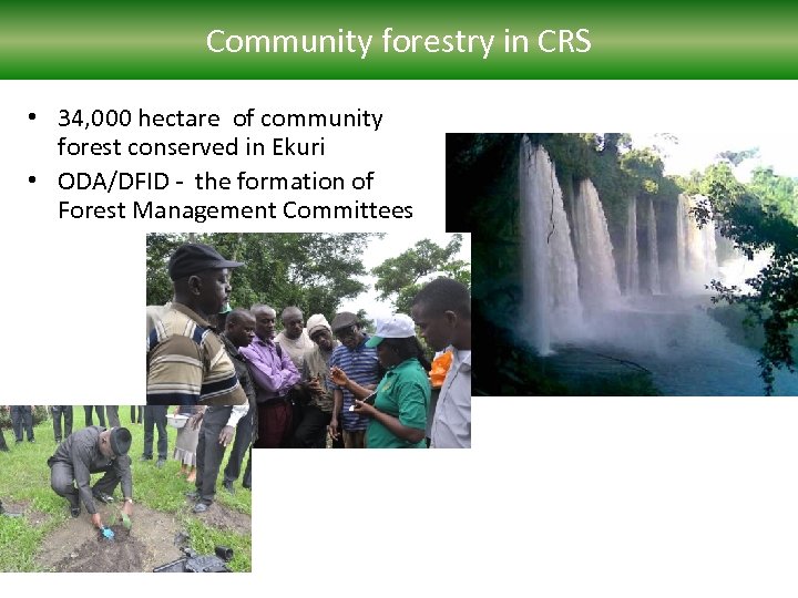 Community forestry in CRS • 34, 000 hectare of community forest conserved in Ekuri