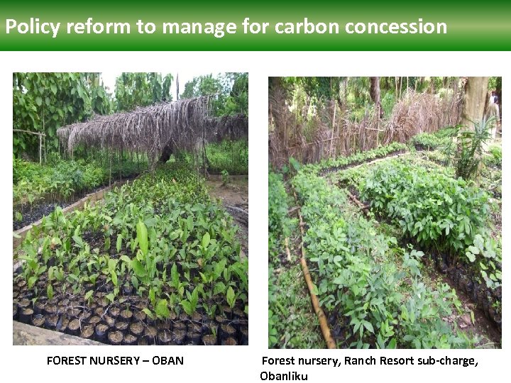 Policy reform manage for carbon concession Polcy reform to to manage for carbon concession