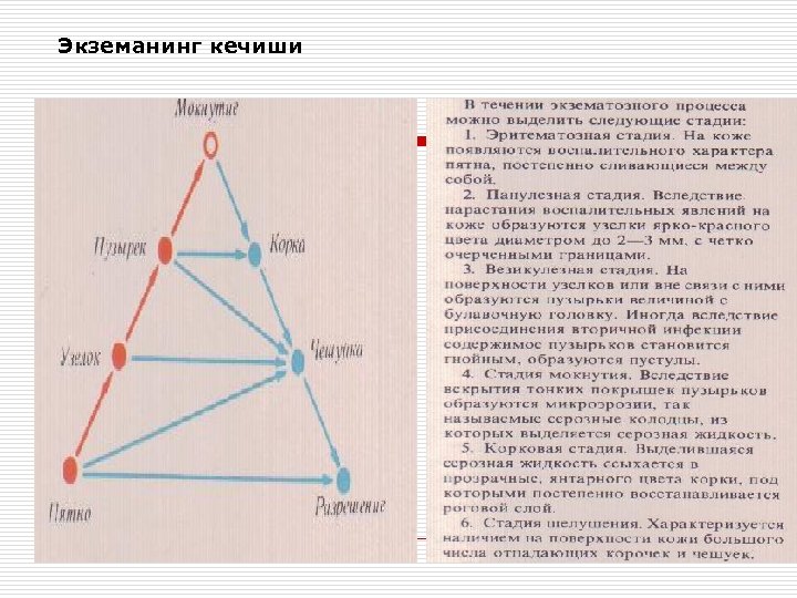 Экземанинг кечиши 