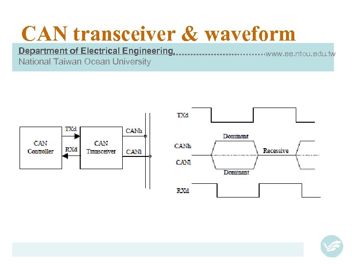 CAN transceiver & waveform Department of Electrical Engineering, National Taiwan Ocean University www. ee.