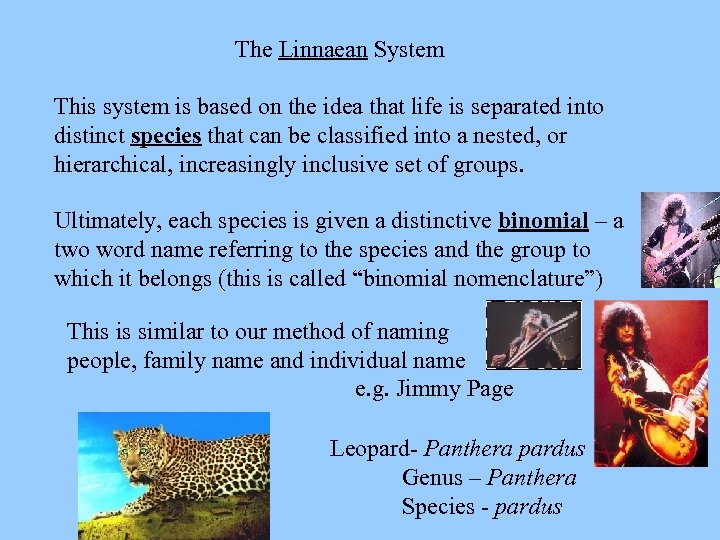 The Linnaean System This system is based on the idea that life is separated