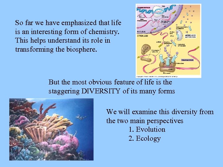 So far we have emphasized that life is an interesting form of chemistry. This