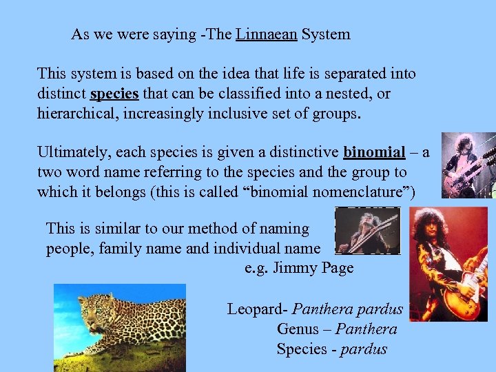 As we were saying -The Linnaean System This system is based on the idea