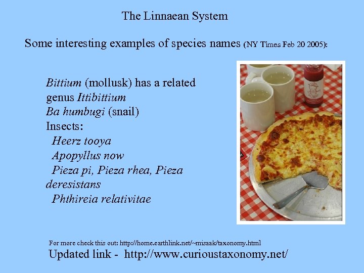 The Linnaean System Some interesting examples of species names (NY Times Feb 20 2005):