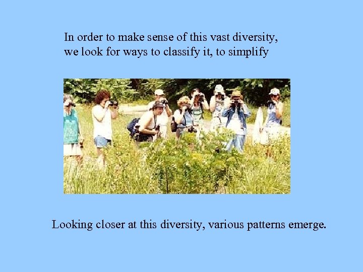 In order to make sense of this vast diversity, we look for ways to