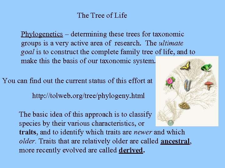 The Tree of Life Phylogenetics – determining these trees for taxonomic groups is a