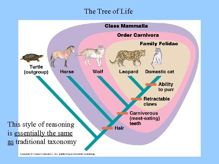The Tree of Life This style of reasoning is essentially the same as traditional