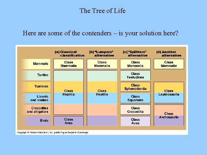 The Tree of Life Here are some of the contenders – is your solution