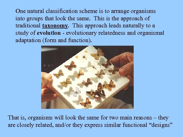 One natural classification scheme is to arrange organisms into groups that look the same.
