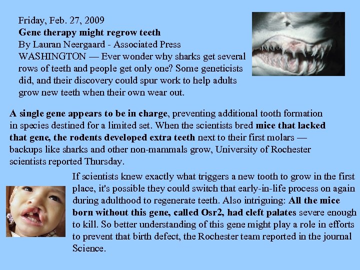 Friday, Feb. 27, 2009 Gene therapy might regrow teeth By Lauran Neergaard - Associated