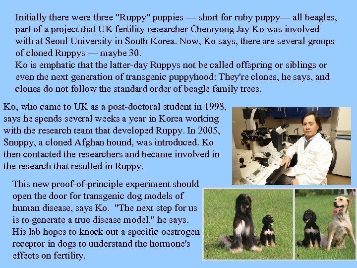 Initially there were three "Ruppy" puppies — short for ruby puppy— all beagles, part