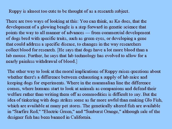 Ruppy is almost too cute to be thought of as a research subject. There