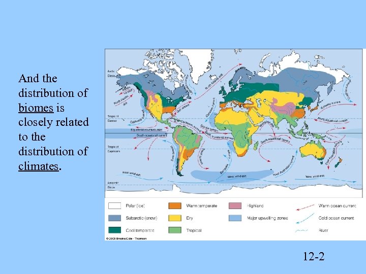 And the distribution of biomes is closely related to the distribution of climates. 12