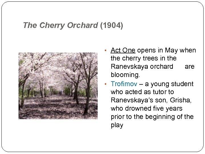 The Cherry Orchard (1904) • Act One opens in May when the cherry trees