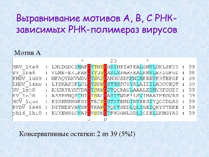 Выравнивание мотивов A, B, C РНКзависимых РНК-полимераз вирусов Мотив A Консервативные остатки: 2 из