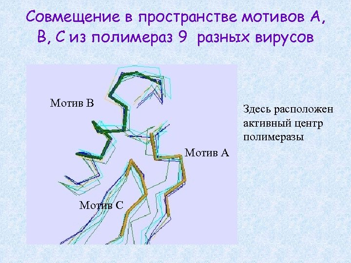 Совмещение в пространстве мотивов A, B, C из полимераз 9 разных вирусов Мотив B