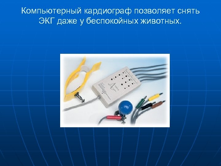 Компьютерный кардиограф позволяет снять ЭКГ даже у беспокойных животных. 