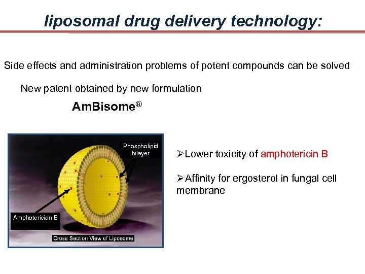 liposomal drug delivery technology: Side effects and administration problems of potent compounds can be
