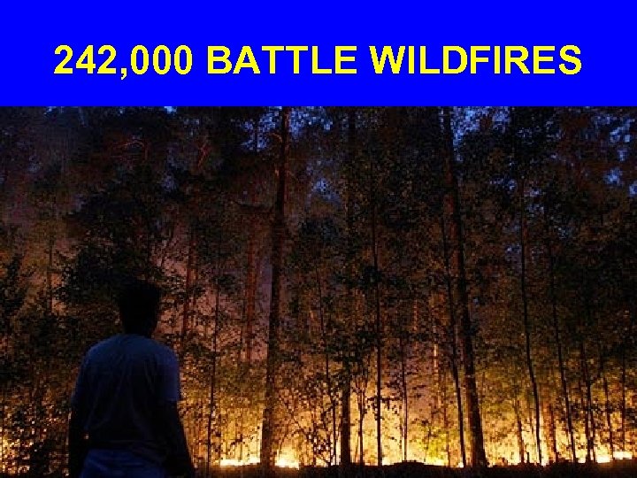 242, 000 BATTLE WILDFIRES 