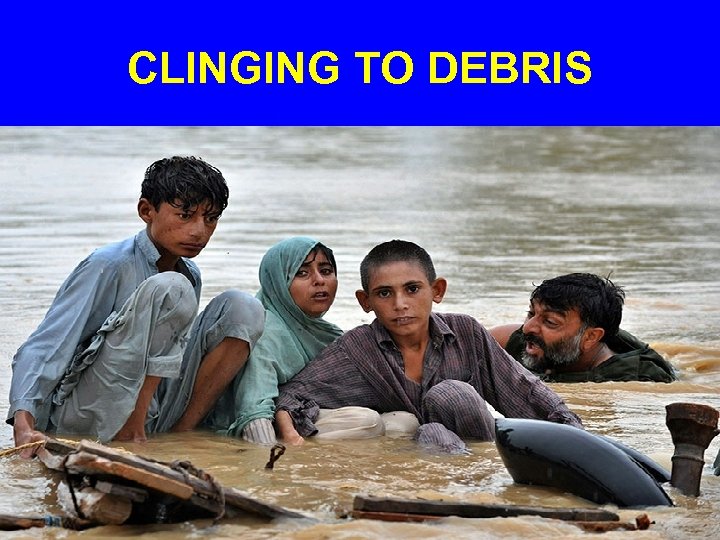 CLINGING TO DEBRIS 