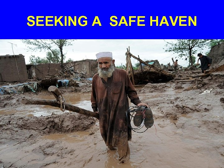 SEEKING A SAFE HAVEN 