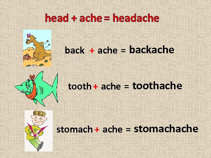 head + ache = headache back + ache = backache tooth + ache =