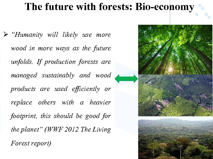 The future with forests: Bio-economy Ø “Humanity will likely use more wood in more