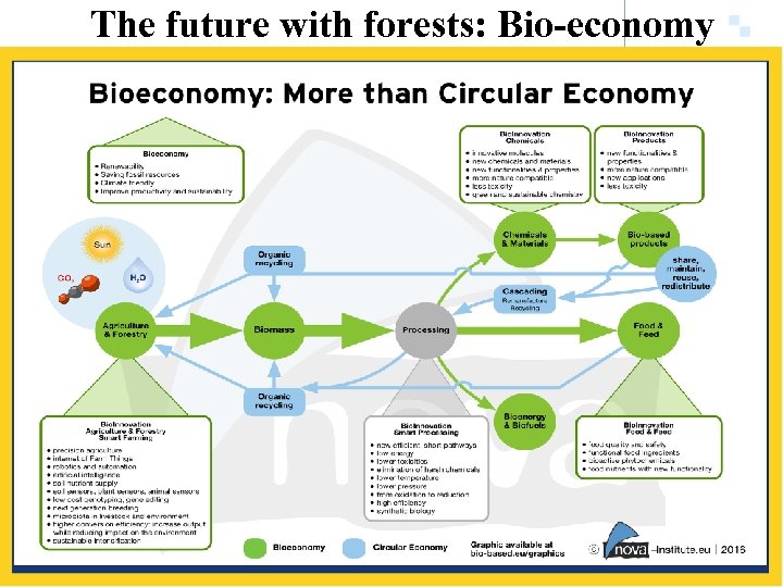 The future with forests: Bio-economy 