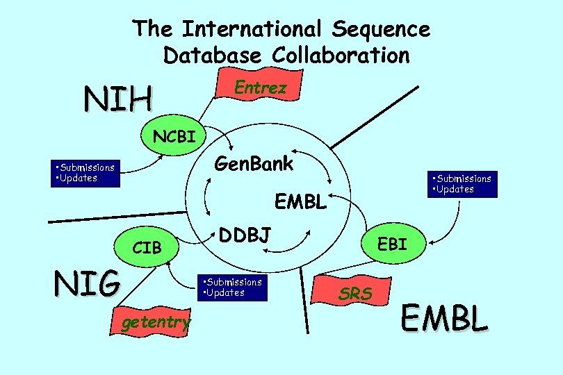 The International Sequence Database Collaboration NIH Entrez NCBI Gen. Bank • Submissions • Updates