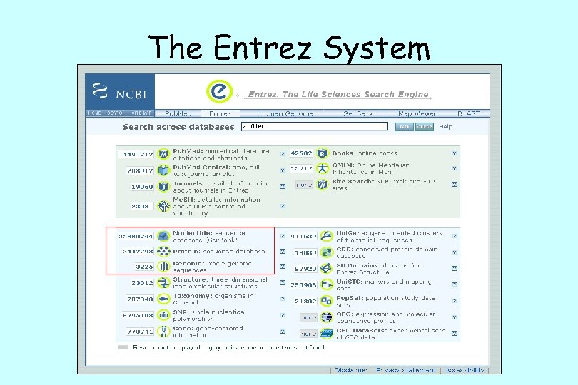 The Entrez System 