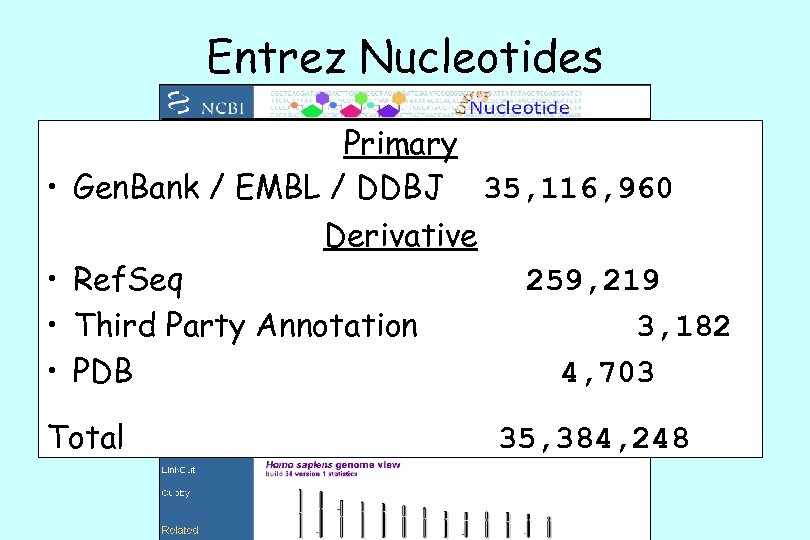 Entrez Nucleotides Primary • Gen. Bank / EMBL / DDBJ 35, 116, 960 Derivative