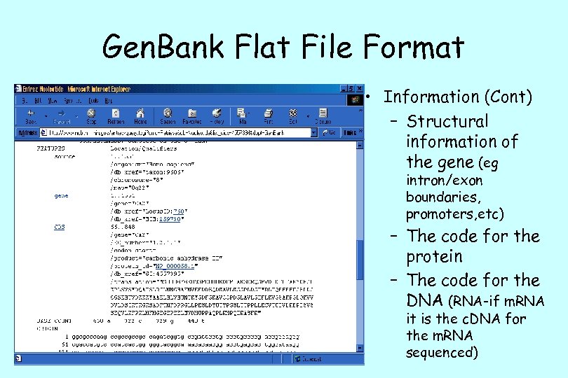 Gen. Bank Flat File Format • Information (Cont) – Structural information of the gene