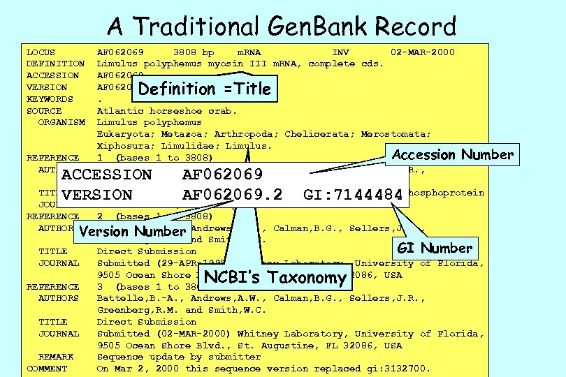 A Traditional Gen. Bank Record LOCUS DEFINITION ACCESSION VERSION KEYWORDS SOURCE ORGANISM AF 062069