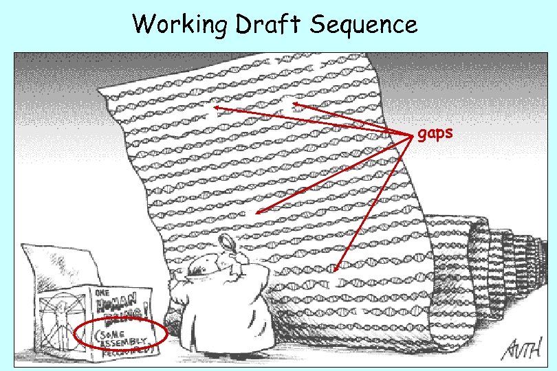 Working Draft Sequence gaps 