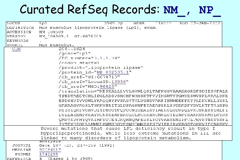 Curated Ref. Seq Records: NM_, NP_ 