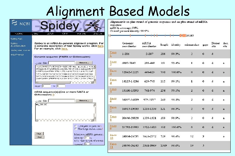 Alignment Based Models 