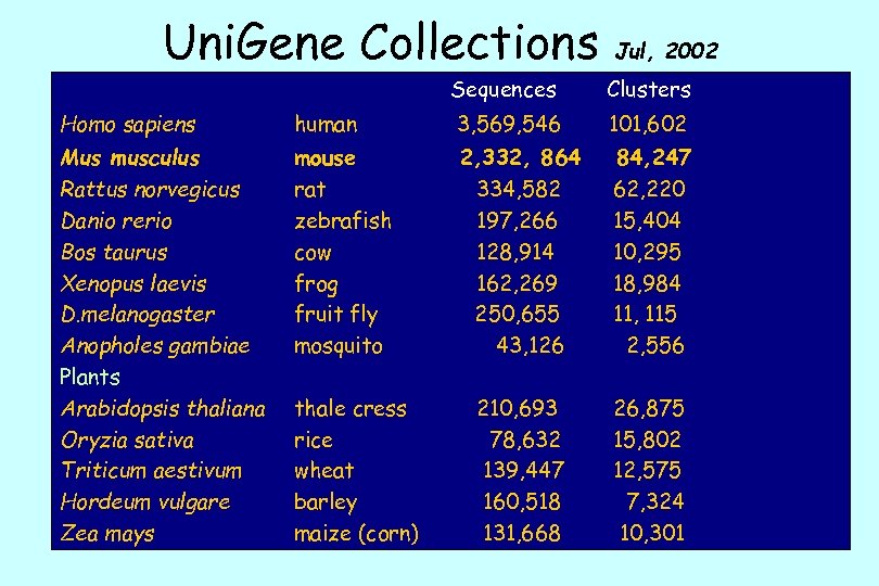 Uni. Gene Collections Jul, 2002 Sequences Clusters Homo sapiens human 3, 569, 546 101,