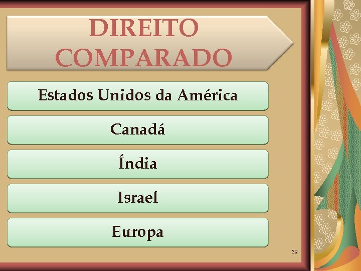 DIREITO COMPARADO Estados Unidos da América Canadá Índia Israel Europa 39 