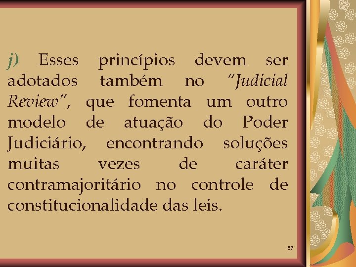 j) Esses princípios devem ser adotados também no “Judicial Review”, que fomenta um outro