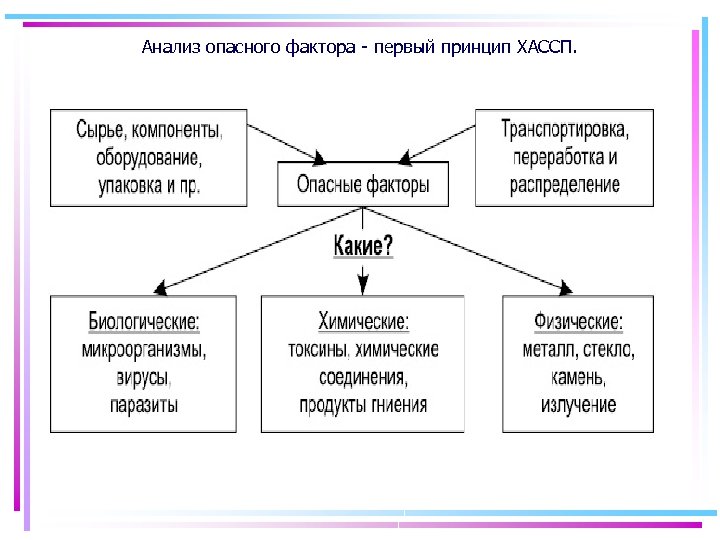 Какие 3 фактора. Биологические опасные факторы ХАССП. ХАССП анализ опасных факторов. Физические опасные факторы ХАССП. Анализ рисков ХАССП.