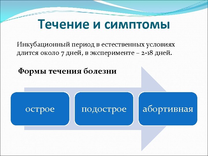 Течение и симптомы Инкубационный период в естественных условиях длится около 7 дней, в эксперименте