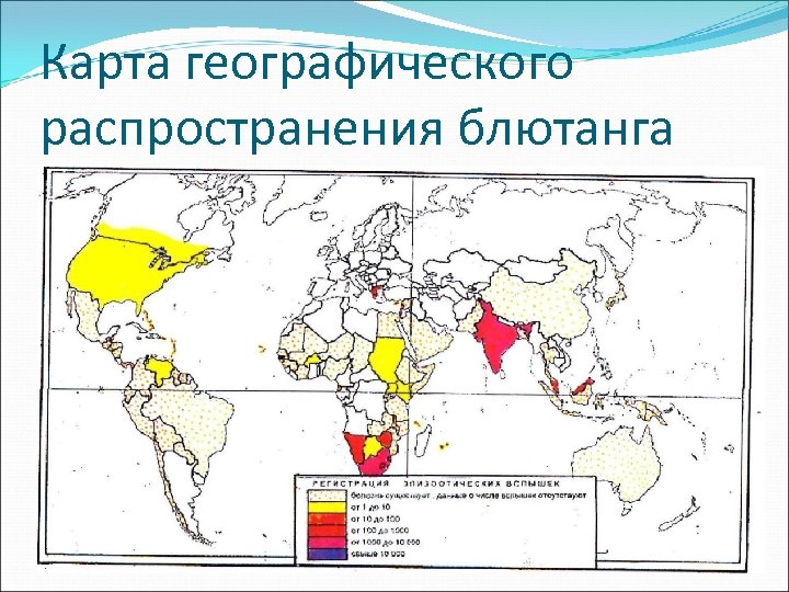 Карта географического распространения блютанга 