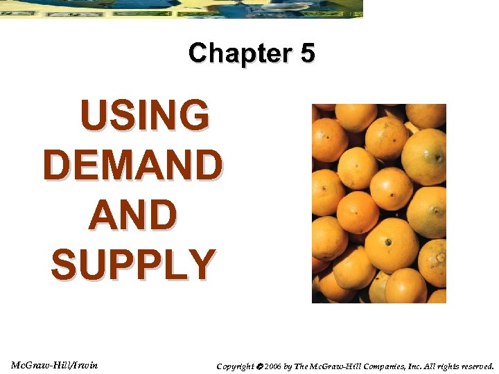Chapter 5 USING DEMAND SUPPLY Mc. Graw-Hill/Irwin Copyright 2006 by The Mc. Graw-Hill Companies,