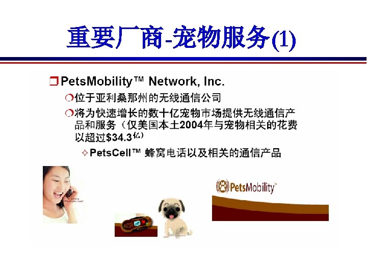 重要厂商-宠物服务(1) 