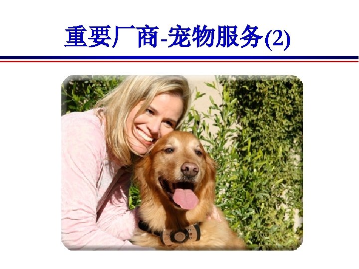 重要厂商-宠物服务(2) 