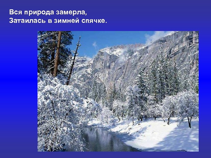 Вся природа замерла, Затаилась в зимней спячке. 