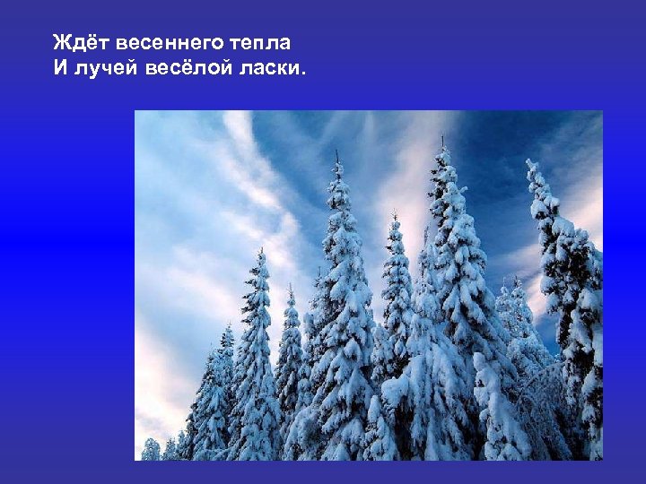 Ждёт весеннего тепла И лучей весёлой ласки. 