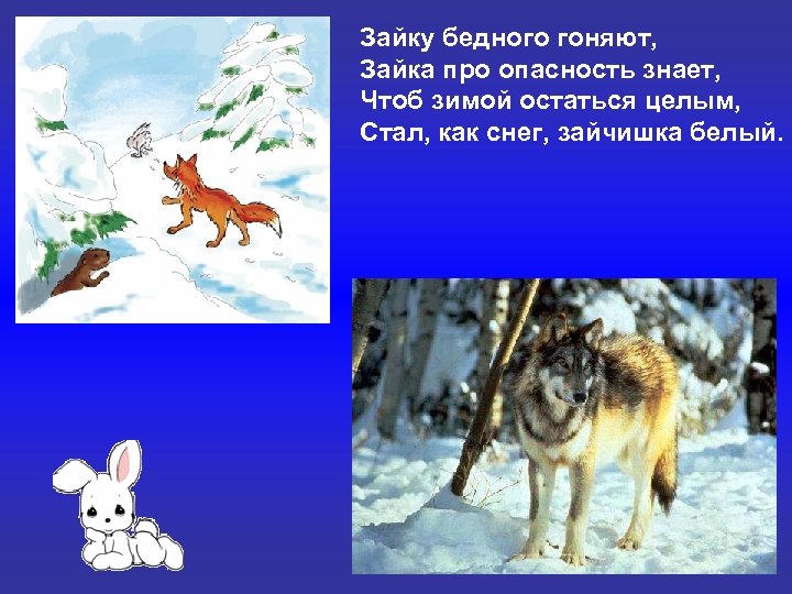 Зайку бедного гоняют, Зайка про опасность знает, Чтоб зимой остаться целым, Стал, как снег,