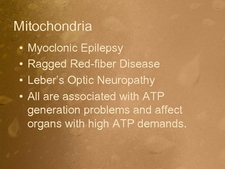 Mitochondria • • Myoclonic Epilepsy Ragged Red-fiber Disease Leber’s Optic Neuropathy All are associated
